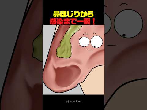 鼻ほじりから感染まで一瞬!