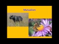 Marine Biomes and Symbiotic Relationships