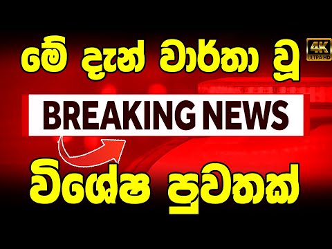 hiru sinhala BREAKING NEWS  | here is special news |  Breaking News |  Hiru News Very special anno