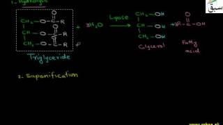 Chemical Properties of Lipids