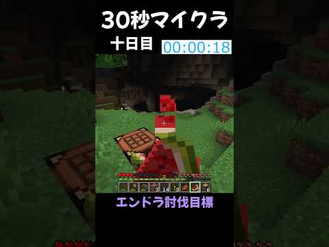 【Minecraft】30秒マイクラpart10~エンドラ討伐目標 #マイクラ #マインクラフト #minecraft #まいくら #shorts  #サバイバル