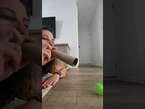 Funny parrot #funny #parrot #parrotsoftiktok #cute#funnyvideo #foryou
