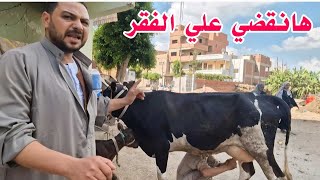 دا اليوم اللي بيستناه كل فلاح والله لخلي كل فلاح يقني بقر من عند محمد بطه والله لسه الدنيا فيها خير
