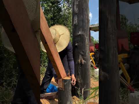 20 de outubro de 2025