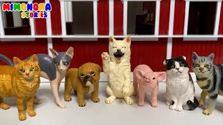 Colección de animales 🐩🐈 Mini Gatos Perros Cerdos Cabras Corderos Burros ✨ Mimonona Stories