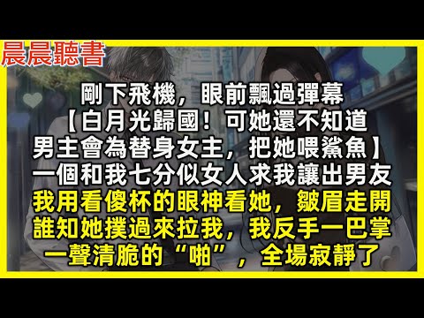 剛下飛機,眼前飄過彈幕【白月光歸國!可她還不知道,男主會為替身女主,把她喂鯊魚】一個和我七分似女人求我讓出男友,我用看傻杯的眼神看她,皺眉走開,誰知她撲過來拉我,我反手一巴掌,全場寂靜了