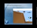 Marine Ecosystem Concepts and Processes
