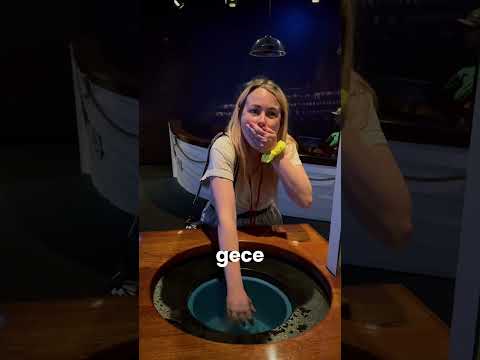 Titanic trajedisi: Buzlu suya dayanmak imkânsız! 🤯🧊