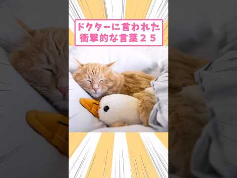 ドクターに言われた衝撃的な言葉25 #猫 #猫のいる暮らし #猫動画 #ねこ #可愛い #ペット #かわいい #2ch