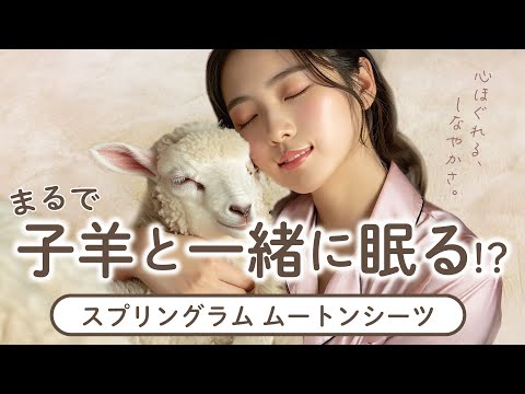 【触れる贅沢】一度触れると忘れられない!赤ちゃんのほっぺみたいな柔らかさ|西川スプリングラムムートンの特徴3選|香川県丸亀市|ふとんのタカハシ丸亀店