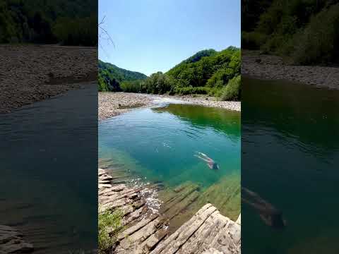Swimming ⛰️ #nuture #swimming #travel #divng