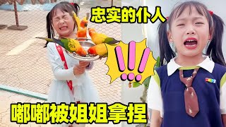姊妹兩個又乾架了！姊姊帶著嘟嘟聲去動物園，這妥妥姊姊的天生僕人啊！ 【嘟嘟小可耐】