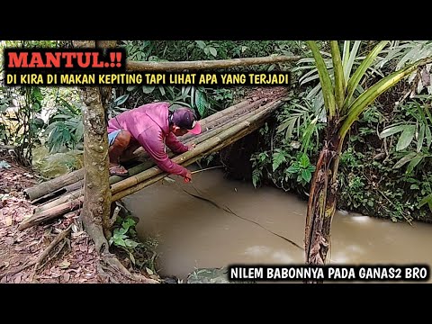 EDAN.!! DI KIRA KEPITING TERNYATA DI LUAR DUGAAN || MANCING SEHABIS HUJAN BABONNYA PADA GANAS BRO