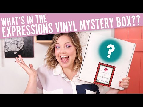 What's in the Expressions Vinyl Mystery Box?? EV November 2020 Mystery Box Unboxing!