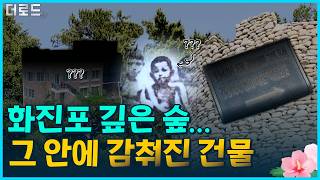 김일성 별장? 화진포 숲속의 충격적인 진실 [더 로드]