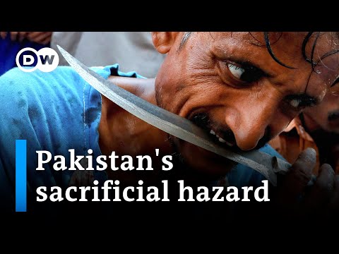Health disaster: Animal carcasses, intestines on Pakistani streets after Eid al-Adha | DW News