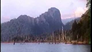 kenyir 4