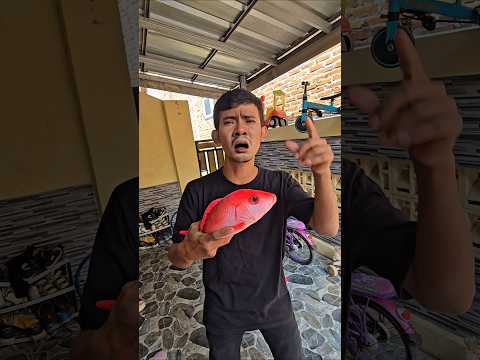 ikan bapak mau dibawa ke ambulan sakit #trendingshorts