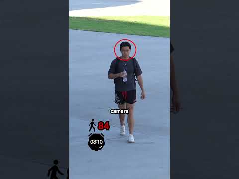 Will People Follow a Laser Pointer to Money? (Day 5)
