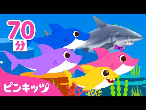 もっともっと🦈サメのかぞく＆人気曲メドレー | ロボット、リアル、8-Bitのサメかぞく | Baby Shark More And More | 子どもの歌 | ピンキッツ・ベイビーシャーク