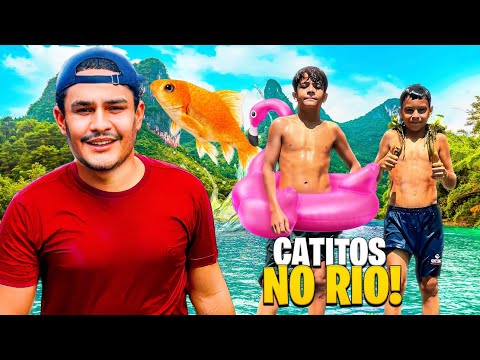 CATITOS NO RIO