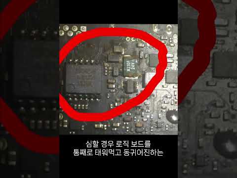 애플이 엔비디아를 손절한 이유