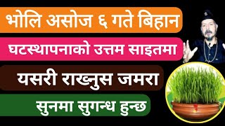 भोलि असोज ६ गते घटस्थापनाको उत्तम  साइतमा यसरी राख्नुस जमरा । सुनमा सुगन्ध हुन्छ | #dashainfestival