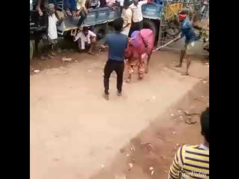 My friend Dance hori habba dalli kaginelli 
King