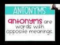 Exploring Synonyms and Antonyms