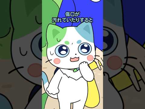 【応急処置】オオクワガタ発見!…と思ったら大惨事にゃ!?