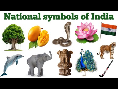 National Symbols of india | भारत के राष्ट्रीय प्रतीक | National Symbols