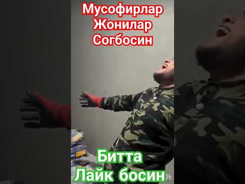 Мусофир талант