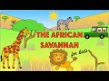 Savannah Ecosystem and Adaptations