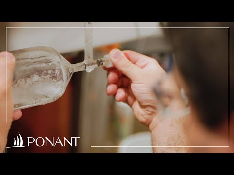 Transarctic Expedition: Analyzing the carbon cycle in the Arctic Ocean | PONANT