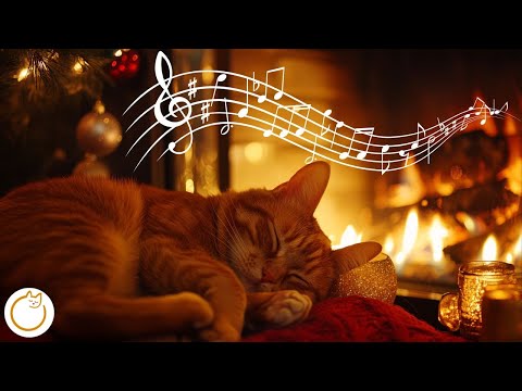 12 HOURS of Music for Cats - The Ultimate Healing Music for Anxiety and Boredom