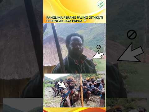 Panglima Perang Tingginambut Papua🔥#papua #indonesia #news #shortvideo