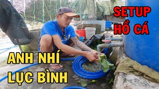 Ông chủ trại ca Betta đi lấy Lục Bình về Setup Hồ Cá chuẩn bị mẽ mới