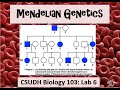 Genetics and Pedigree Analysis