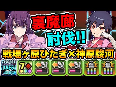【最難関】戦場ヶ原ひたぎ×神原駿河で裏魔廊の支配者を攻略！圧倒的火力で最難関ダンジョンを撃破！ヴァルハラコンビ・物語シリーズ【スー☆パズドラ】