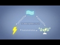 Exploring the Interconnections of Water, Food, and Energy