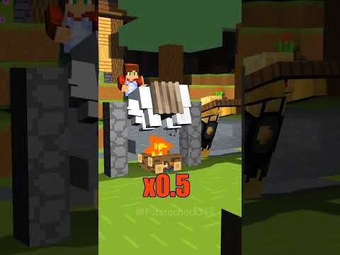 Skewer Rotation - x3 x2 x1 x0.5 x0.3