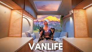 Sunrise Hike in Mt Rainier + Van life Chore day (with two cats)