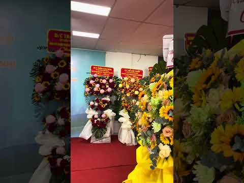 Trường đại học Cửu Long