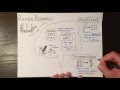 Foundations of American Government Concepts
