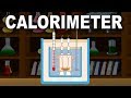 Calorimetry and Specific Heat Concepts
