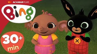 Występ, Sklep oraz INNE | Bing Odcinki po Polsku | Bing Polski