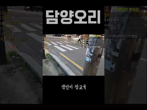 공항도둑+정상수 잼민이 참교육