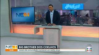 BBB DOS COELHOS/ Globo/ Matéria completa! ✨🌵