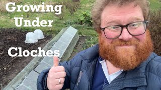 Victorian Glass Barn Cloche Update