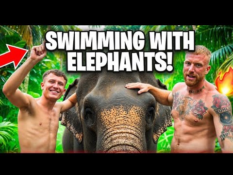 Swimming with the Elephants in Bali, Ubud